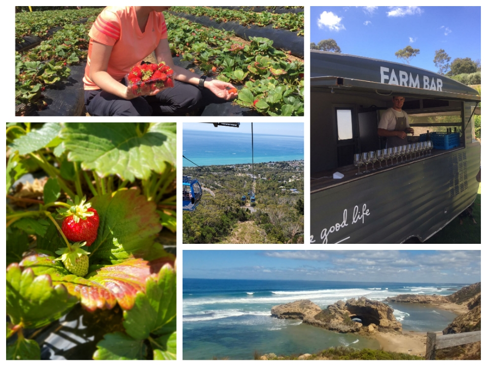 Sunny Ridge Strawberry Farm, Arthur’s Seat Eagle