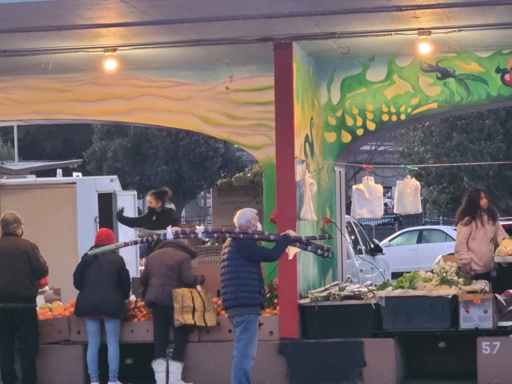 疫情後遊三藩市