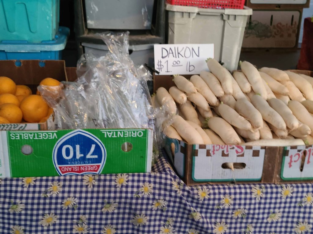 疫情後遊三藩市