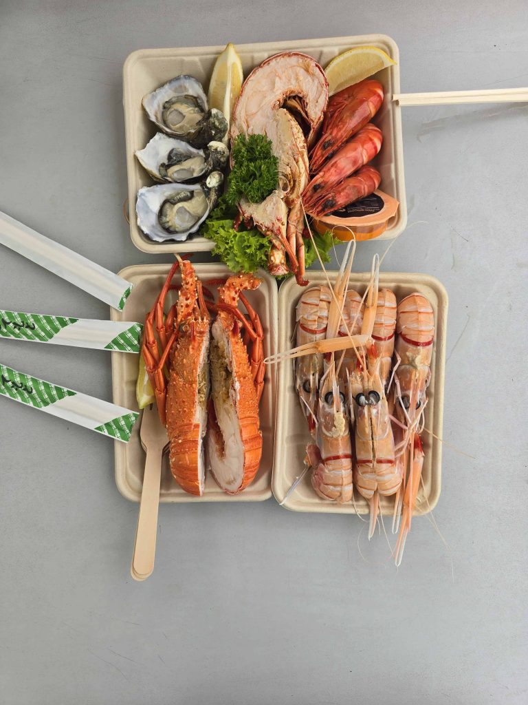 澳洲悉尼之旅：隨心而行