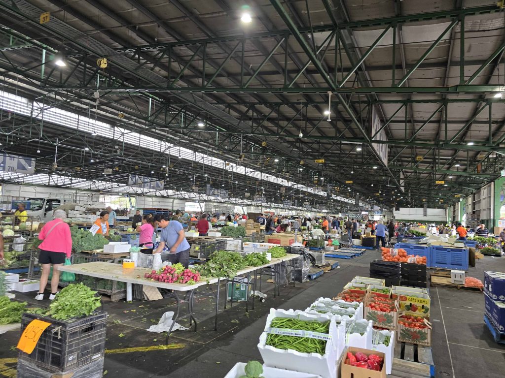 澳洲悉尼之旅：隨心而行