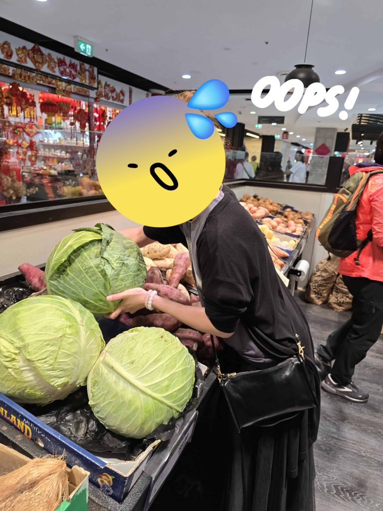 澳洲悉尼之旅：隨心而行