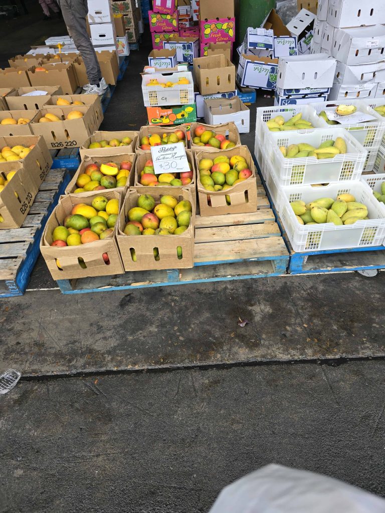 澳洲悉尼之旅：隨心而行