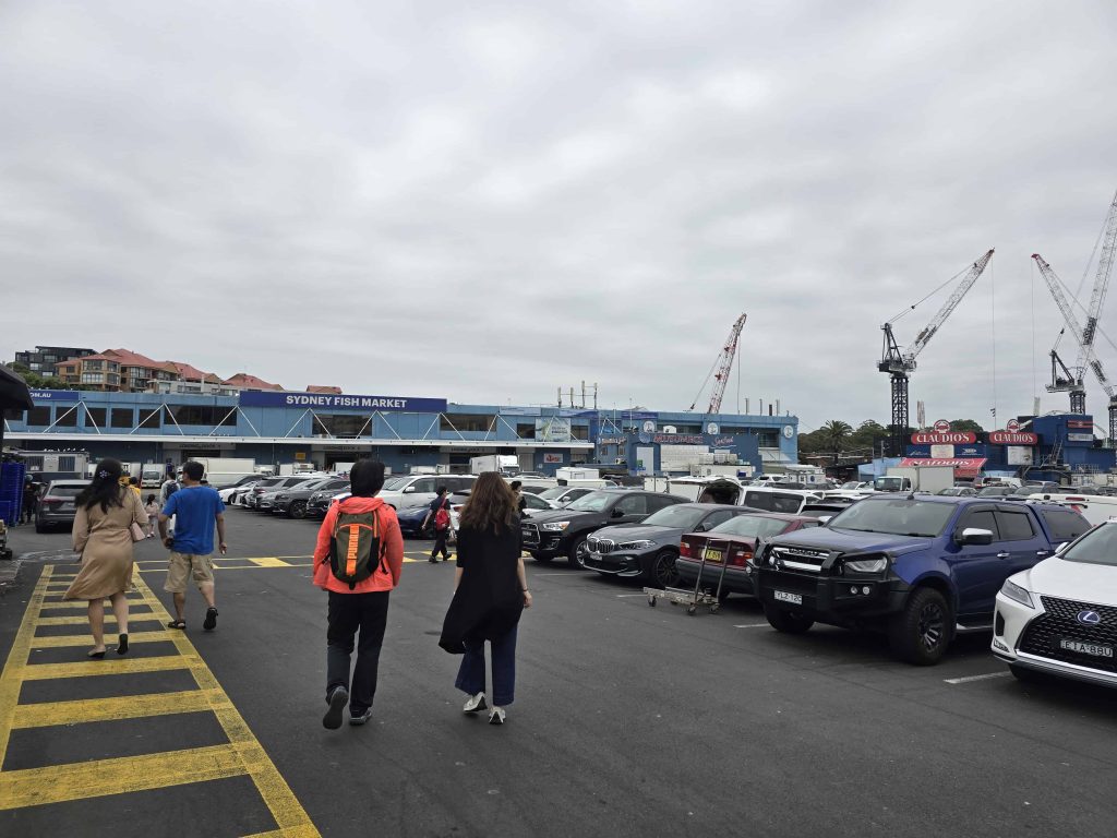 澳洲悉尼之旅：隨心而行