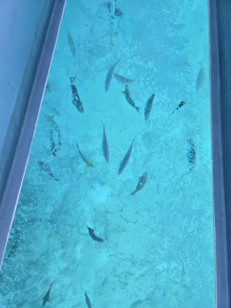 沖繩旅遊分享：難忘的歷史、人文、自然與美食之旅